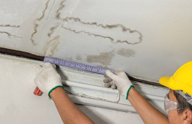 Reliable Basement Water Removal contractor in Scurry, TX by Water Damage Irwin